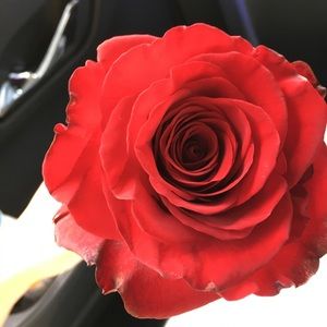 Meet your Posher, Jay